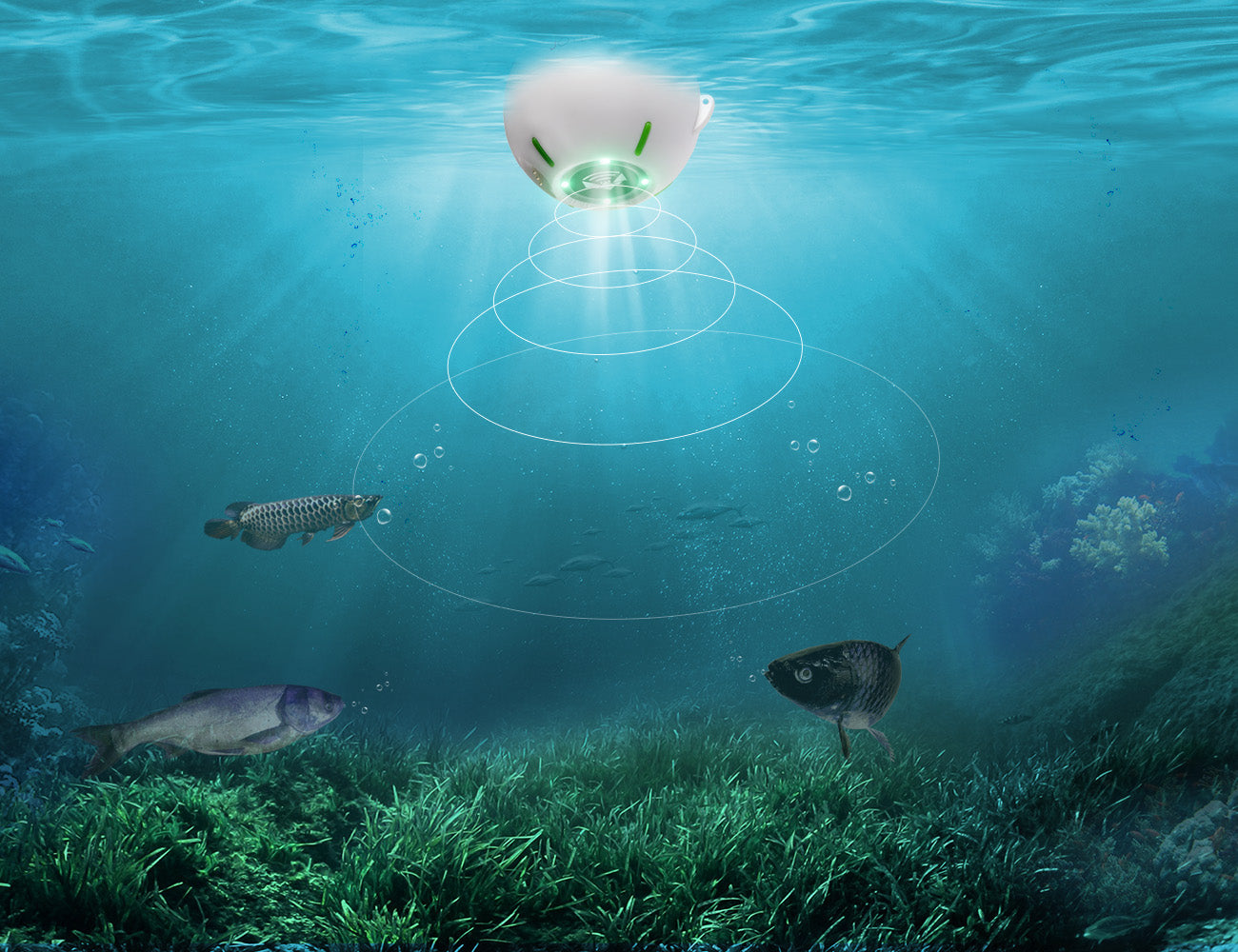 JOYLOG Smart Sonar Fish Finder